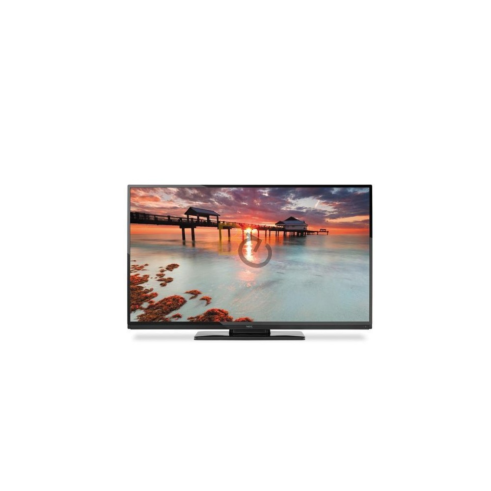 Monitor NEC MultiSync E654