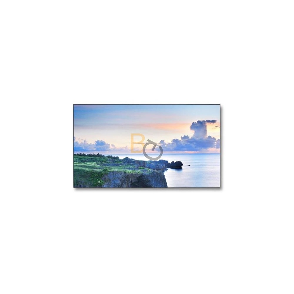 Monitor NEC MultiSync X463UN