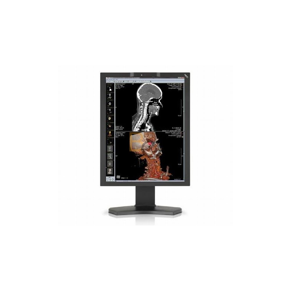Monitor NEC MD210C2