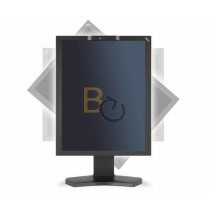 Monitor NEC MD210C2