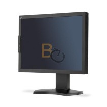 Monitor NEC MD211C2