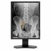 Monitor NEC MD211G3