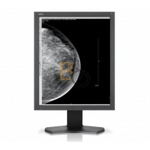 Monitor NEC MD211G5
