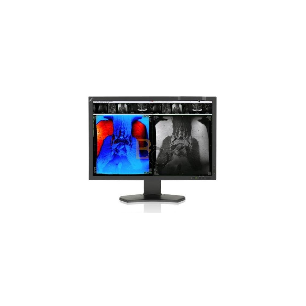 Monitor NEC MD242C2