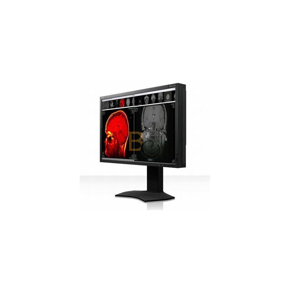 Monitor NEC MDview 232