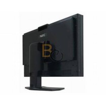 Monitor NEC SpectraView Reference 242