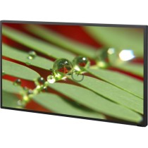 Monitor Sony FWD-42B2