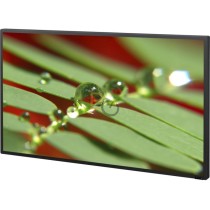 Monitor Sony FWD-46B2