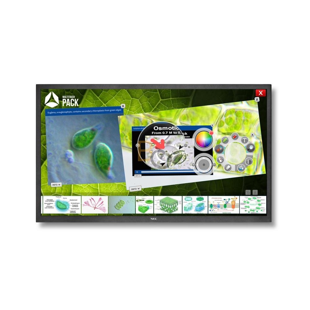 Monitor interaktywny NEC MultiSync V801-TM (Infrared Touch)
