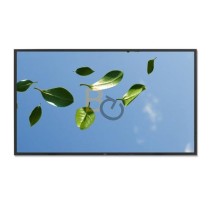 Monitor NEC MultiSync V552-DRD