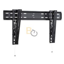 Uchwyt uchylny ścienny SWM250, SWM250S