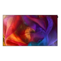 Monitor Samsung UE55D 55"