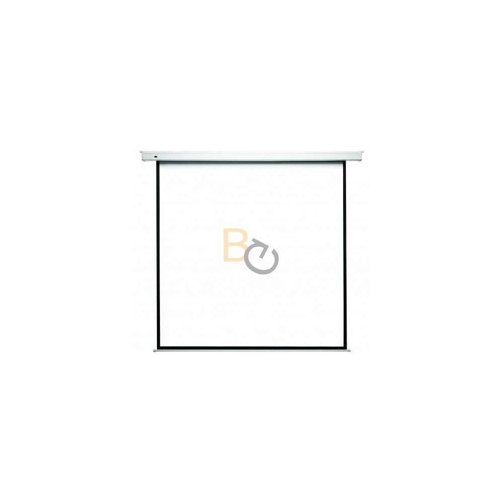 Ekran elektryczny Kauber Econo 238x238 cm (1:1)