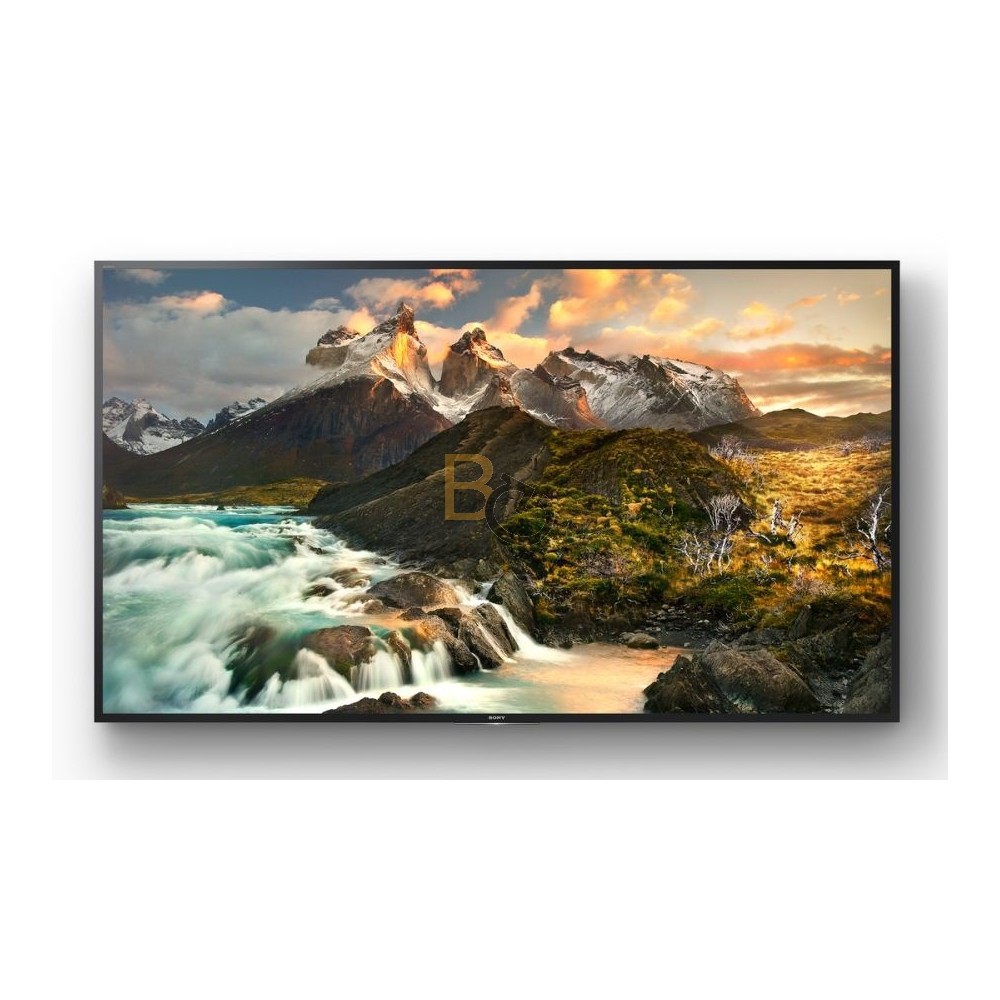 Monitor Sony FWD-100ZD9501