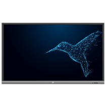 Monitor interaktywny Avtek TouchScreen 5 Lite 55"