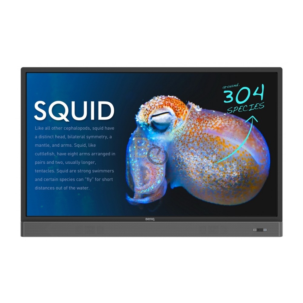 Monitor interaktywny BenQ RP553K 55"