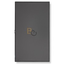 Monitor NEC MultiSync V404-RPi