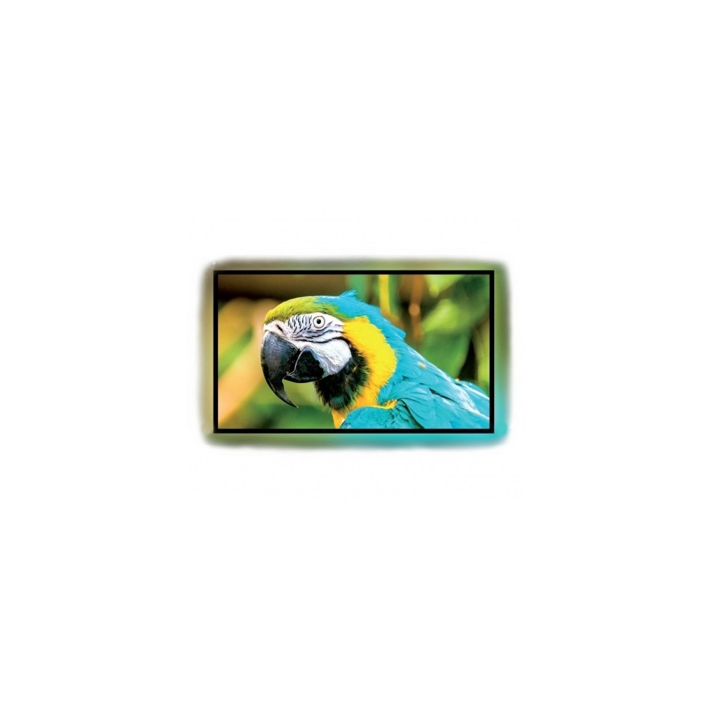 Ekran ramowy Kauber Frame LED Active 220x124 cm (16:9)