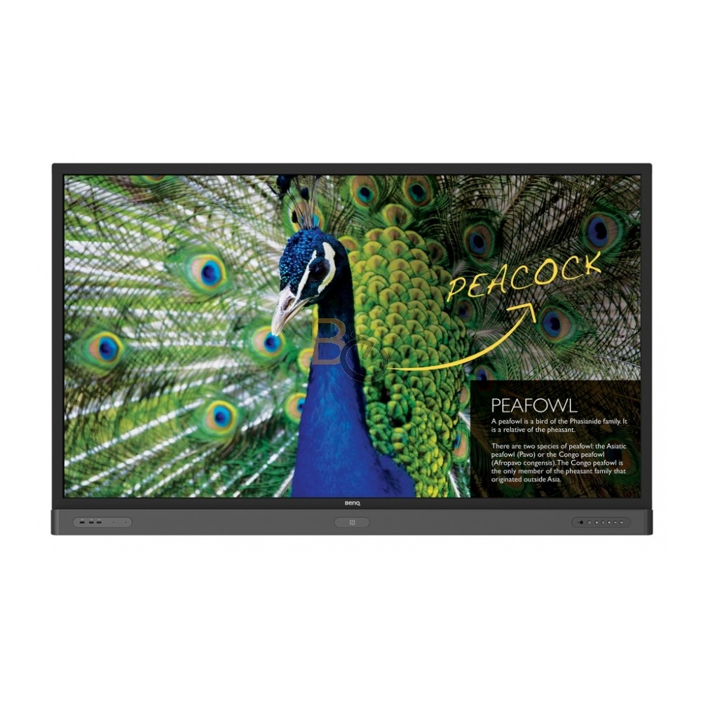 Monitor interaktywny BenQ RP7501K 4K UHD 75"