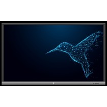 Monitor interaktywny Avtek TouchScreen5 Lite 86"