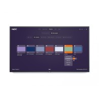 Monitor NEC MultiSync P495-MPi4