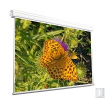 Ekran elektryczny AVERS Schoolline Copernicus 210x210 cm (1:1)