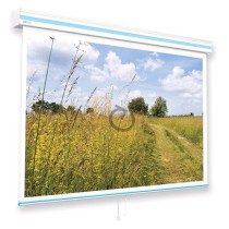 Ekran ścienny ręcznie rozwijany Avers Cirrus X 300x188 cm (16:10)